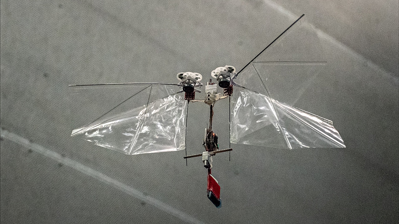 Марс будут покорять дроны-листы весом с муху